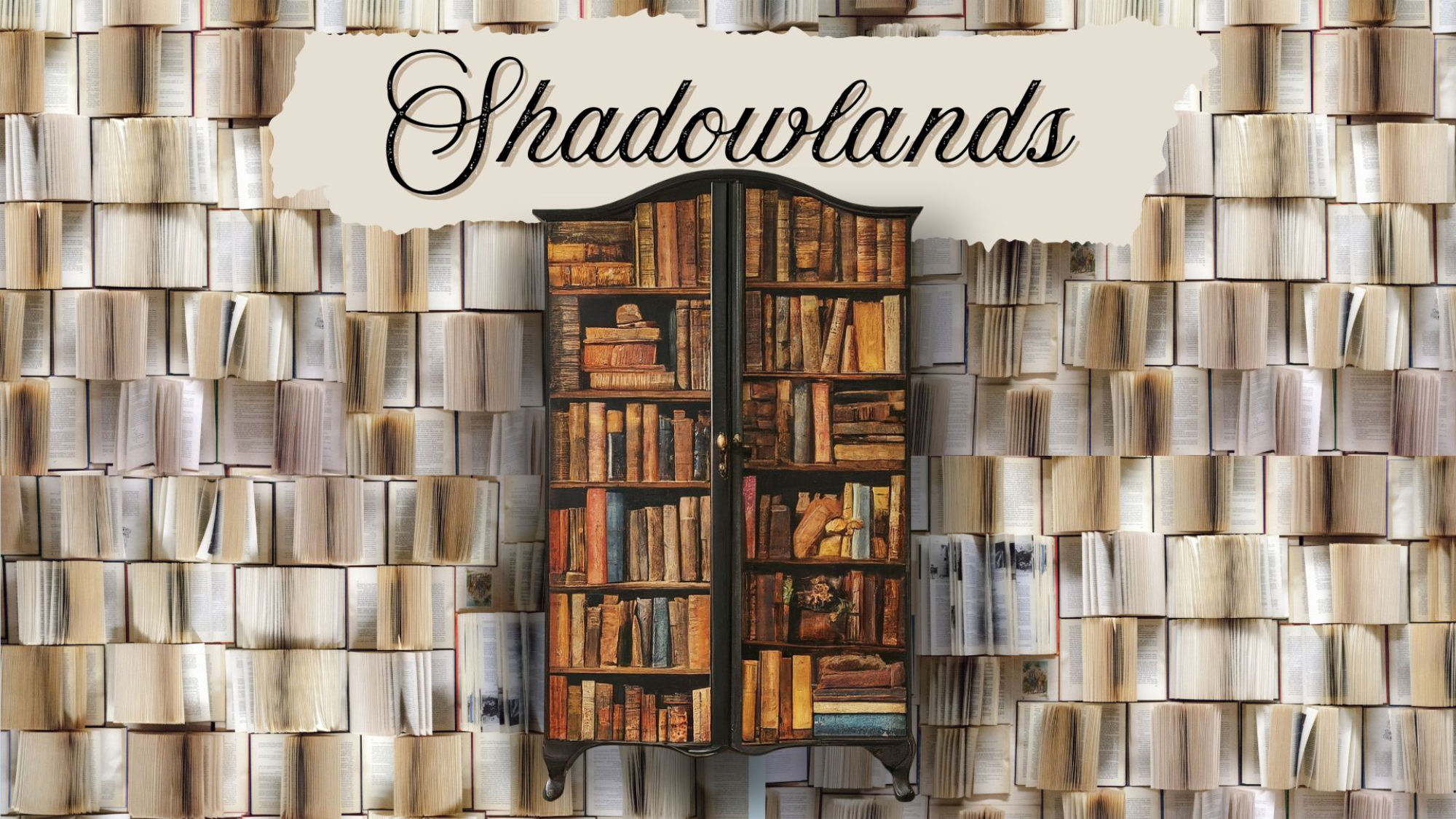 A bookcase with books